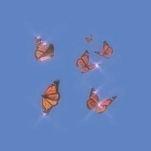 Meet your Posher, Jor